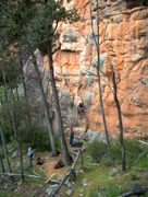 Michael leading Entertainer (18), Northern Group.