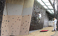 Latrobe Uni Wall, Edwards Road. (Click To Enlarge)