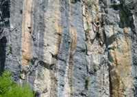 Nick on the fine stemming corner of Avignon (22), Armchair Flat