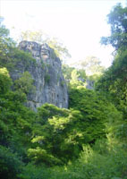 The secret sinkhole crag located behind the Pyramids. Three hundred metres of head hieght stinging nettles guard its pleasures.