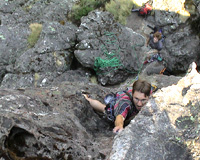 Owen leading Bloodline, grade 22.