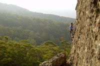 Jono Schimdt onsights the easy ringbolted jugfest of Wee Ripper (17)