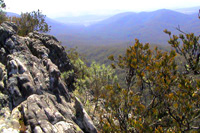 View from the summit of Mt Sugarloaf