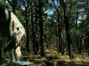 Nigel on an unamed V5 on the Skittle Boulder, next to Origami Arete.