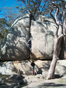 Neil leading Braveheart (18)