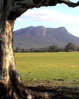 Asses Ear as seen from Wartook