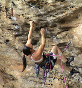 Jacqui Leading Angular Perspective, grade 27, Bundaleer.