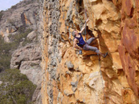 Malcolm Matheson flashes Wired (22), Cut Lunch Walls