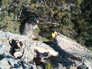 Tim seconding Fox Trot (17).