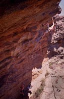 Nick McKinnon on Stepping on Snakes (23), Photo Neil Monteith