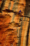 Malcolm on Mr Joshua (25) Taipan Wall