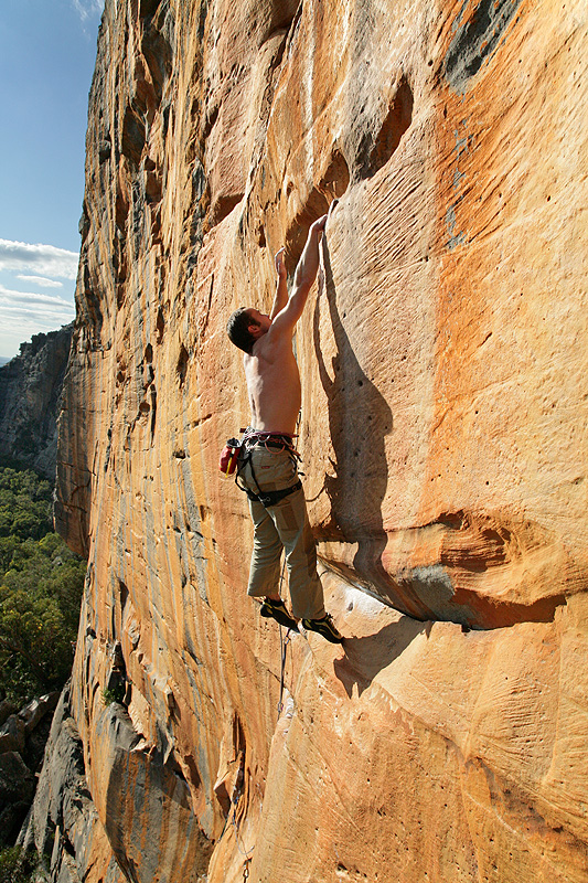 taipan wall