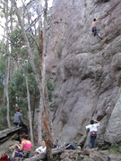 Neil leading My Friend Flipper (26).