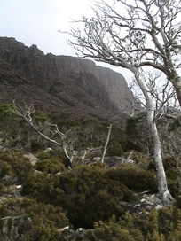 Ben Lomond