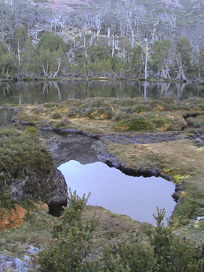 Pool Of Bethsada, Walls Of Jerusalem, Tasmania.