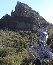 Cradle Mountain, Tasmania.