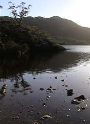 Lake Rodway, Cradle Mountain, Tasmania.