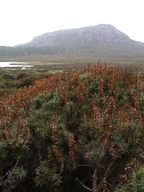 Walls Of Jerusalem, Tasmania.