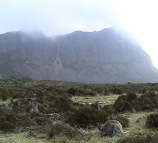 Walls Of Jerusalem, Tasmania.