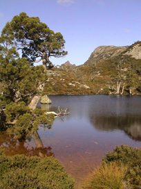 Wombat Tarn, Cradle Mountain, Tasmania.