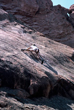 Kevin Lindorff in The Garden of the Gods Co. 1986