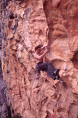 Tender Hooks (24) first ascent, Cut Lunch Walls, 2002.