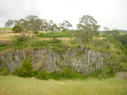 Cliff line from the carpark