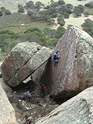 Kent Leading "Scansorial", the 14m grade 22.