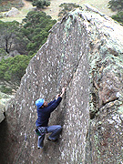 Kent Leading "Scansorial", the 14m grade 22.