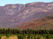 View from Porepunka
