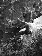 Trickles