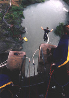 Bungy (Click To Enlarge)