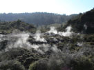 Rotorua Thermal Mud Pools
