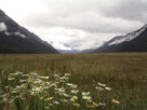 Grassy Valley Heading towards Milford Sound