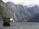 Cruise on Milford Sound