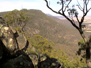 View from the Pinnacles.