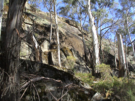 Looking up at the cliff from the base.