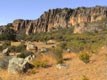 The Organ Pipes