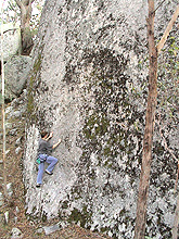 Kent boulder the start of "Gumboot Diplomacy", the 30m grade 23.