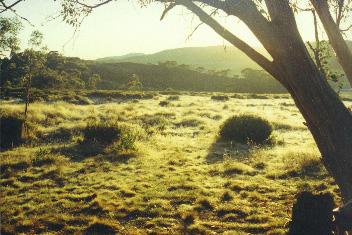 Mt Jugungal, Victoria, Australia