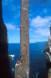 Monique Forestier leading pitch two of the Free Route (25) on the Totem Pole, Cape Hauy, Tasmania, Australia.
