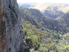 View From Falcon's Lookout